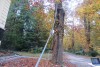 Uji Tarik Pohon Dengan Alat Uji Pulling Test
